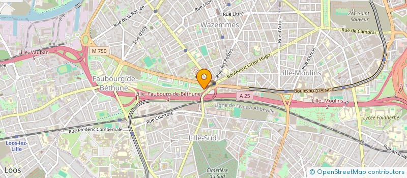 localisation de l'entreprise MADAME MERIEM ZERARI  LILLE