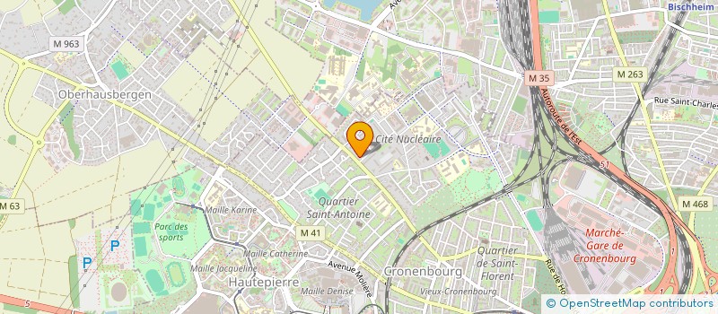localisation de l'entreprise MADAME MERVE EKIZ à STRASBOURG