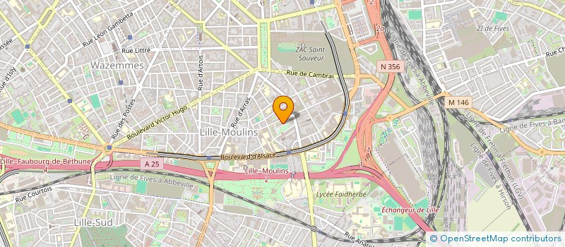 localisation de l'entreprise MADAME MERY METSINA TSALA  LILLE