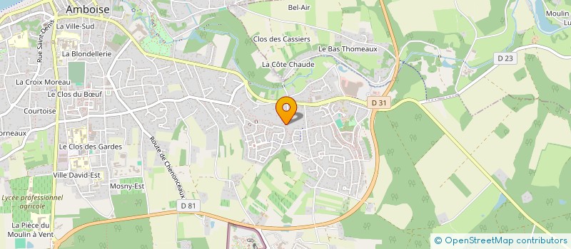 localisation de l'entreprise MADAME MI YONG LEE  AMBOISE