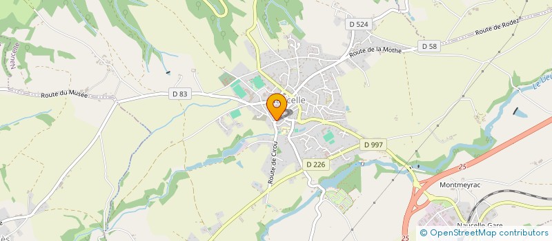 localisation de l'entreprise MADAME MICAELLE DESPAQUIS  NAUCELLE