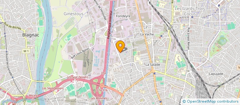 localisation de l'entreprise MADAME MICHAEL LACAN  TOULOUSE