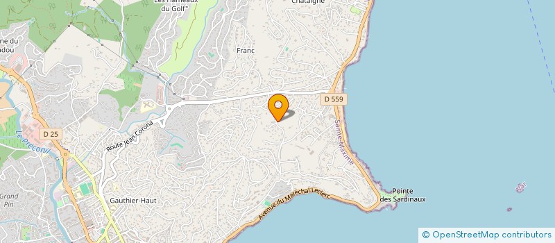 localisation de l'entreprise MADAME MICHAELA VESCHAMBES à SAINTE-MAXIME