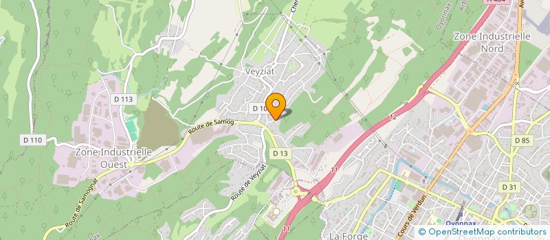 localisation de l'entreprise MADAME MICHAELLE VOISIN à OYONNAX