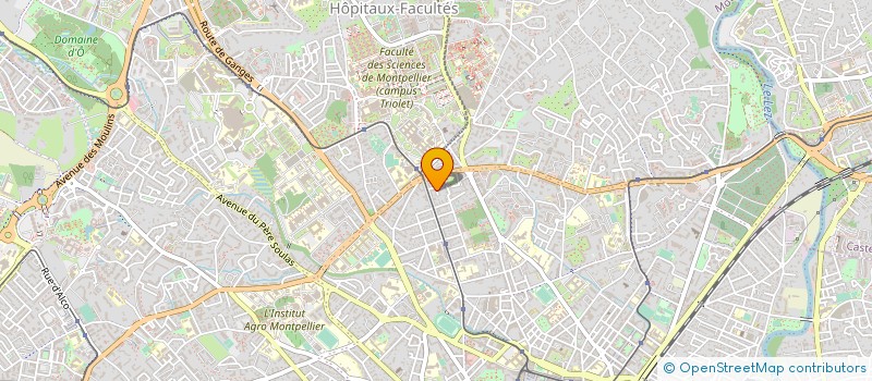 localisation de l'entreprise MADAME MICHELE BOUSQUET à MONTPELLIER
