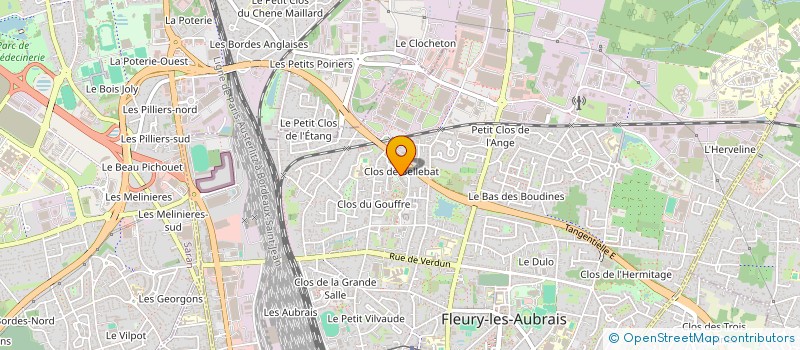 localisation de l'entreprise MADAME MICHELE CHEDJOU FOGAN à FLEURY-LES-AUBRAIS