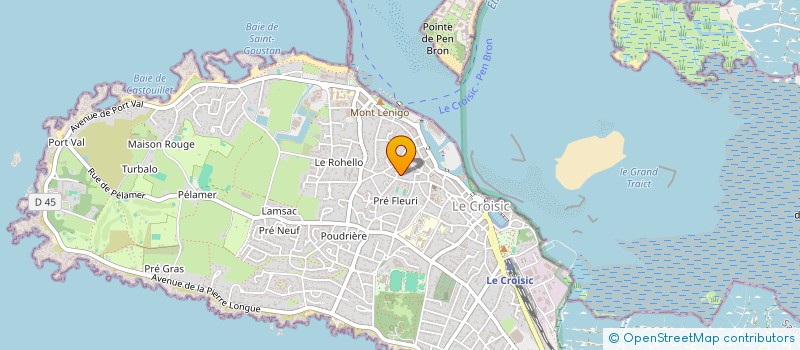 localisation de l'entreprise MADAME MICHELE DUCREUX  LE CROISIC