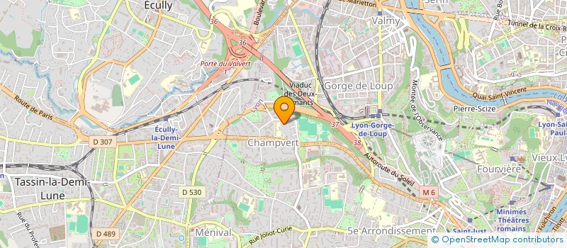 localisation de l'entreprise MADAME MICHELE FOULLON  LYON