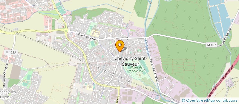 localisation de l'entreprise MADAME MICHELE FOUROT  CHEVIGNY-SAINT-SAUVEUR