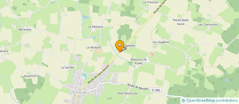 localisation de l'entreprise MADAME MICHELE GUICHARDON  FOISSIAT