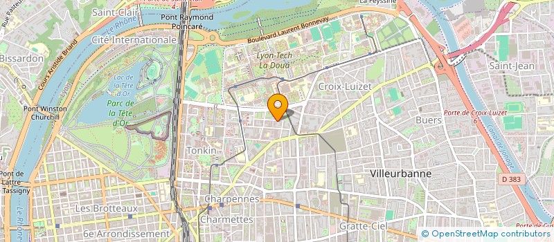 localisation de l'entreprise MADAME MICHELE GUINGAND  VILLEURBANNE