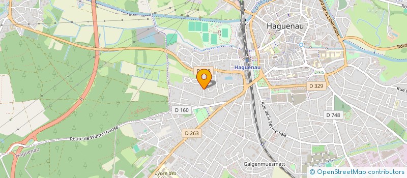 localisation de l'entreprise MADAME MICHELE HASENFRATZ  HAGUENAU