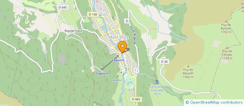 localisation de l'entreprise MADAME MICHELE LACOMBE  MONT-DORE