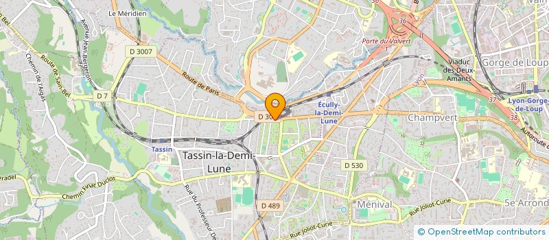 localisation de l'entreprise MADAME MICHELE MARTINEZ  TASSIN-LA-DEMI-LUNE