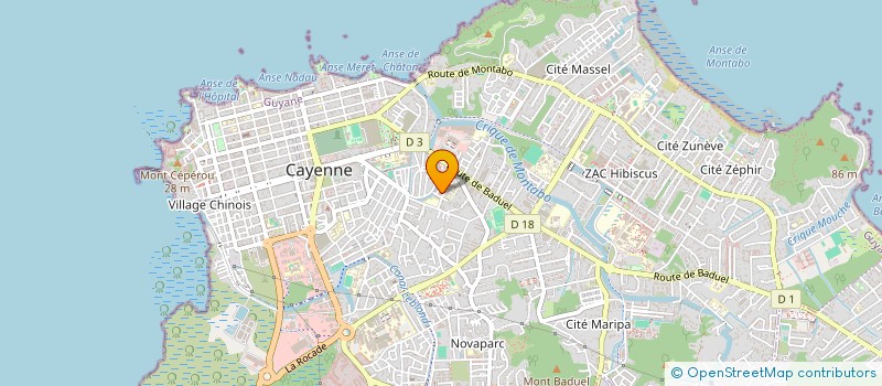 localisation de l'entreprise MADAME MICHELE MC GARRELL  CAYENNE