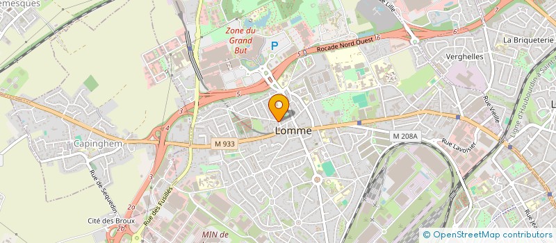 localisation de l'entreprise MADAME MICHELE NEF à LILLE