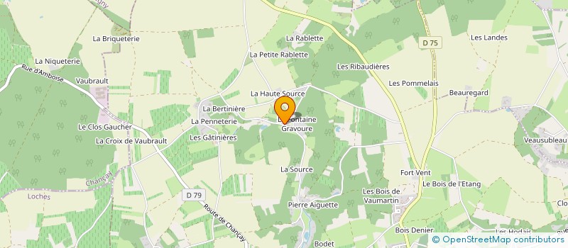 localisation de l'entreprise MADAME MICHELE NEVEU  NAZELLES-NEGRON