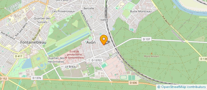 localisation de l'entreprise MADAME MICHELE NIJNIKOFF à AVON