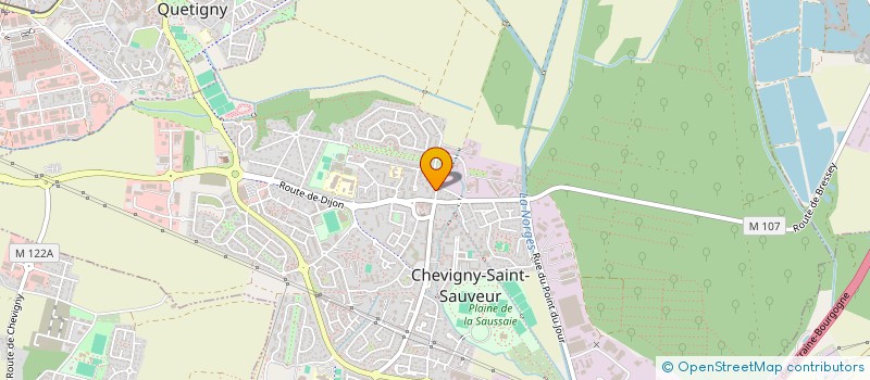 localisation de l'entreprise MADAME MICHELE PELAYO  CHEVIGNY-SAINT-SAUVEUR