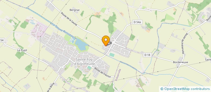 localisation de l'entreprise MADAME MICHELE PERRIN  SAINTE-FOY-D'AIGREFEUILLE