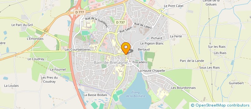 localisation de l'entreprise MADAME MICHELE PICOREAU à BAIN-DE-BRETAGNE