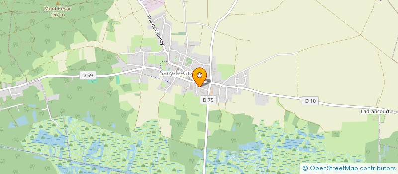 localisation de l'entreprise MADAME MICHELE ROBERT  SACY-LE-GRAND