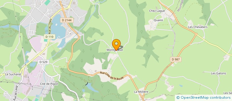 localisation de l'entreprise MADAME MICHELE ROBIN  SAINT ELOY LES MINES