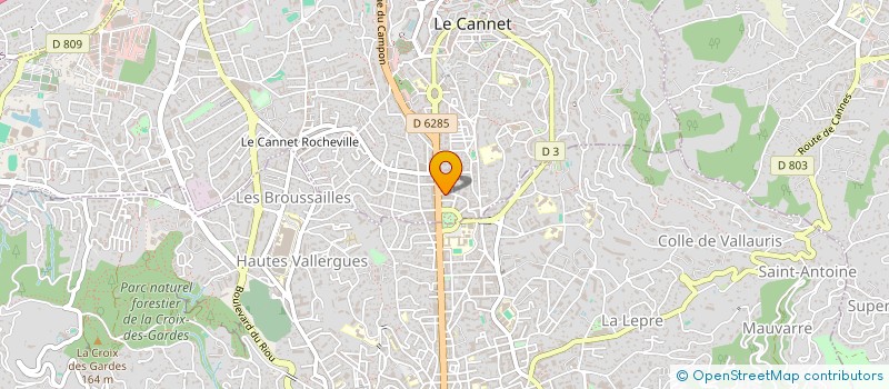 localisation de l'entreprise MADAME MICHELE SAHEL à LE CANNET