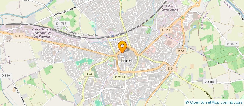 localisation de l'entreprise MADAME MICHELE SAMAIN  LUNEL