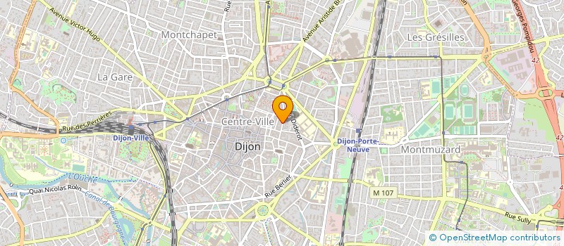localisation de l'entreprise MADAME MICHELE SAUVAGE à DIJON