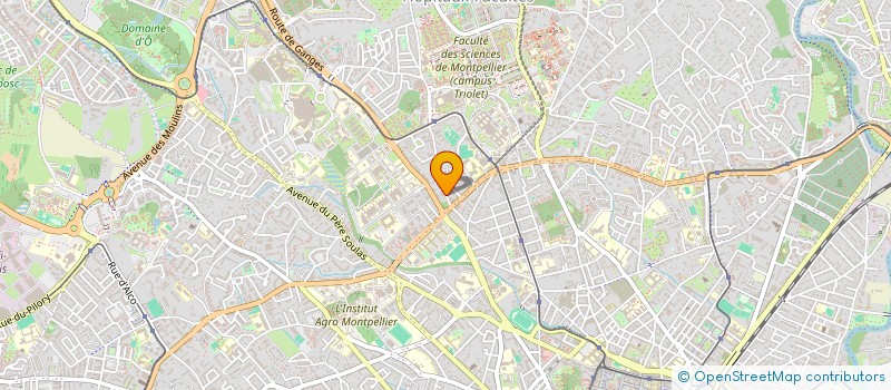 localisation de l'entreprise MADAME MICHELE SKIERKOWSKI à MONTPELLIER