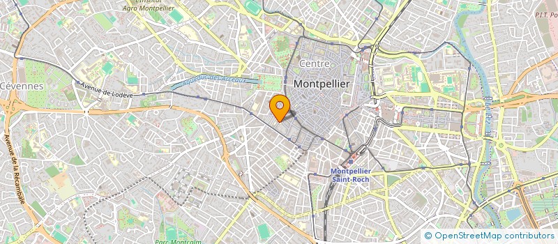 localisation de l'entreprise MADAME MICHELE VIANEY à MONTPELLIER