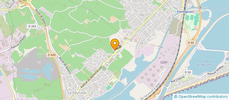 localisation de l'entreprise MADAME MICHELE WAGENHEIM  FRONTIGNAN