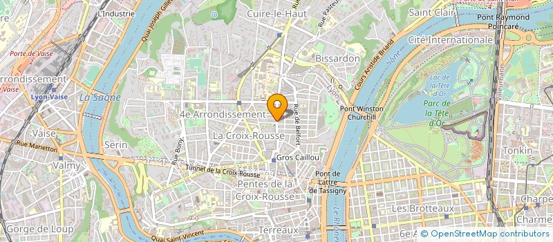 localisation de l'entreprise MADAME MICHELINE BERARD  LYON