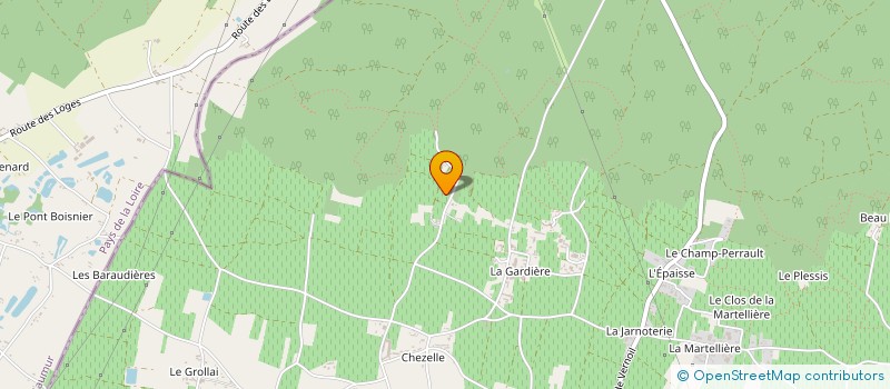 localisation de l'entreprise MADAME MICHELINE MASSON  SAINT-NICOLAS-DE-BOURGUEIL