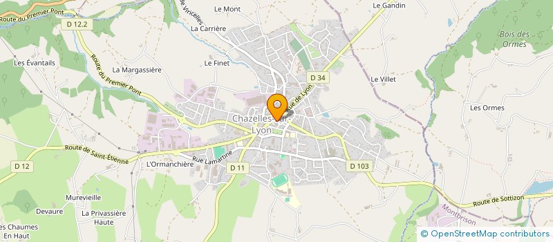 localisation de l'entreprise MADAME MICHELLE BOURGIN à CHAZELLES SUR LYON