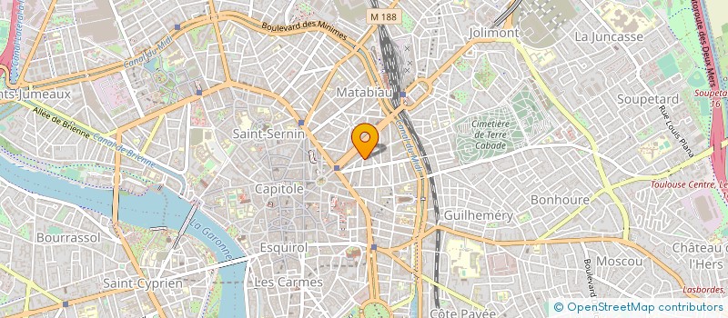 localisation de l'entreprise MADAME MICHELLE BOURLEAU à TOULOUSE