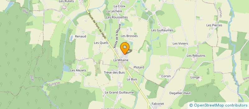 localisation de l'entreprise MADAME MICHELLE BUIS  SAINT-JULIEN-SUR-VEYLE