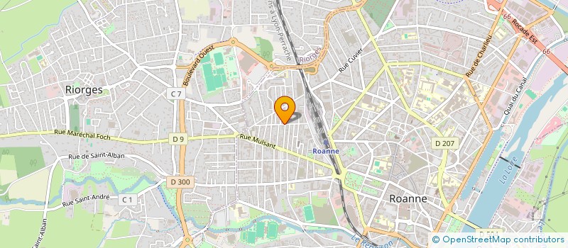 localisation de l'entreprise MADAME MICHELLE CASSIN à ROANNE