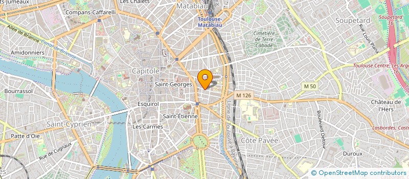 localisation de l'entreprise MADAME MICHELLE CATTEEUW  TOULOUSE