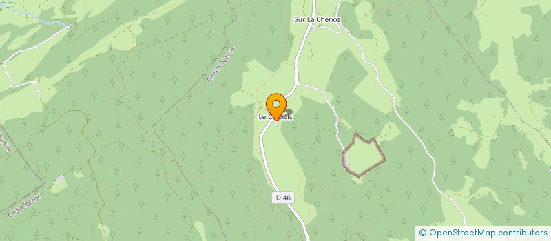 localisation de l'entreprise MADAME MICHELLE CORDIER  CHAUX-NEUVE