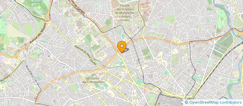 localisation de l'entreprise MADAME MICHELLE COSTE à MONTPELLIER