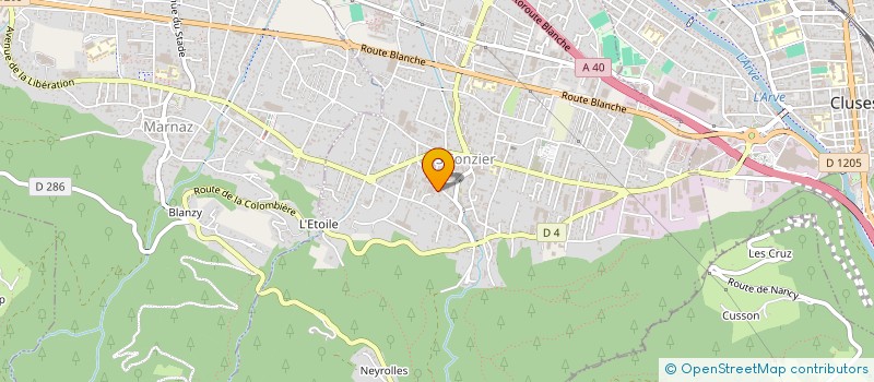 localisation de l'entreprise MADAME MICHELLE DEGENEVE  SCIONZIER