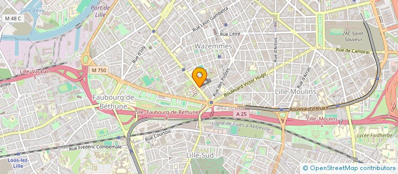 localisation de l'entreprise MADAME MICHELLE DJOUKA à LILLE