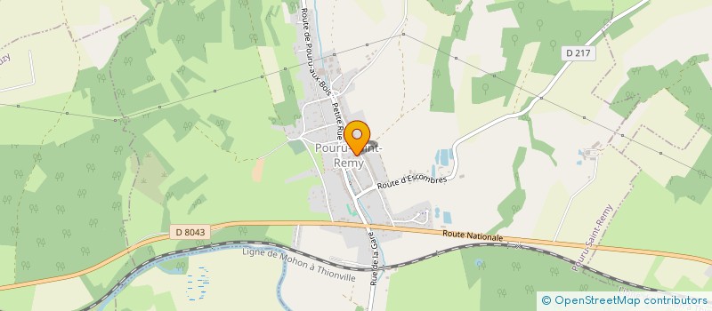 localisation de l'entreprise MADAME MICHELLE DULIN  POURU-SAINT-REMY