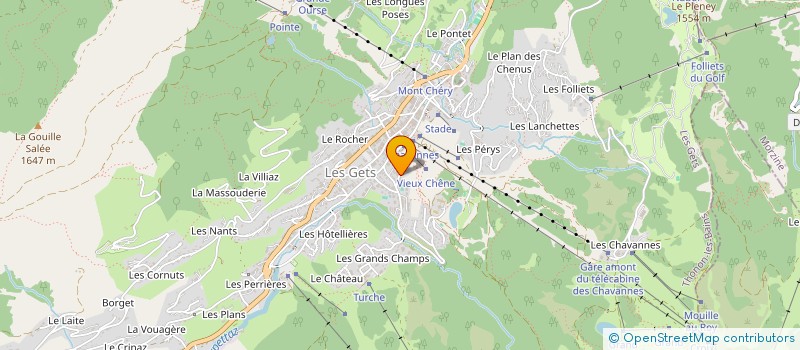localisation de l'entreprise MADAME MICHELLE GEROUDET à LES GETS