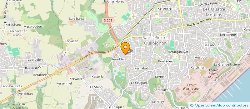 localisation de l'entreprise MADAME MICHELLE GRISON à BREST