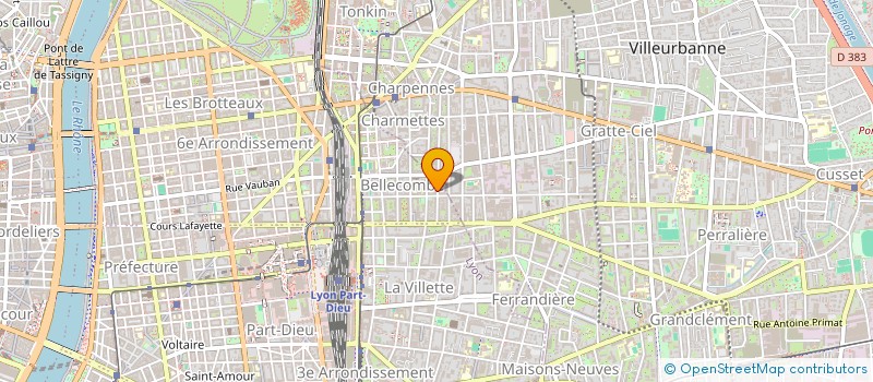 localisation de l'entreprise MADAME MICHELLE LACHTERMANN à LYON