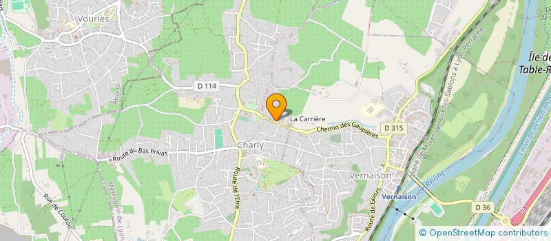 localisation de l'entreprise MADAME MICHELLE SAUGUES  CHAPONOST