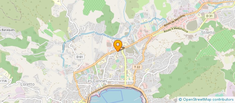 localisation de l'entreprise MADAME MIHAELA DORINA AVRAM à AJACCIO
